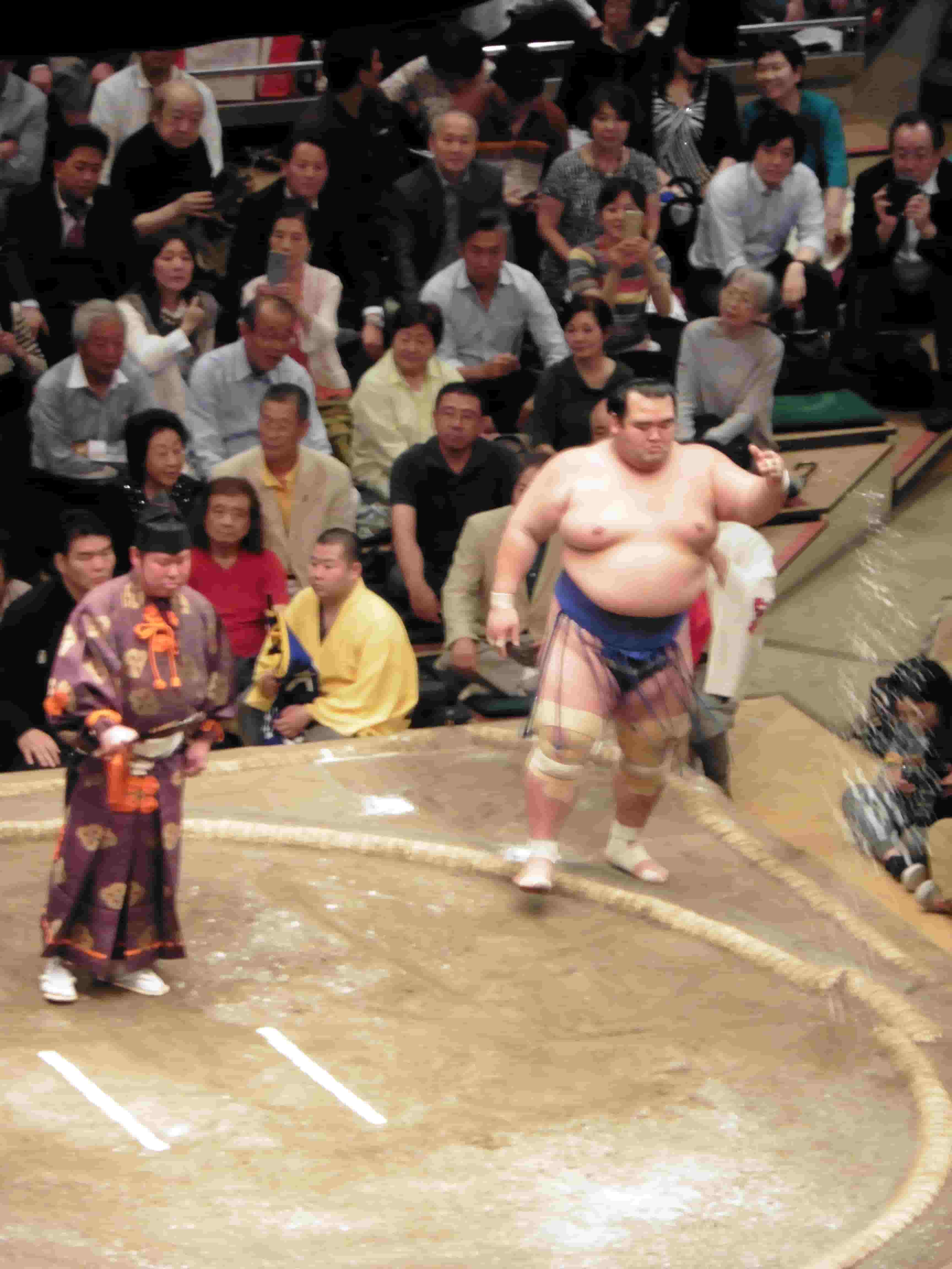 Sumo