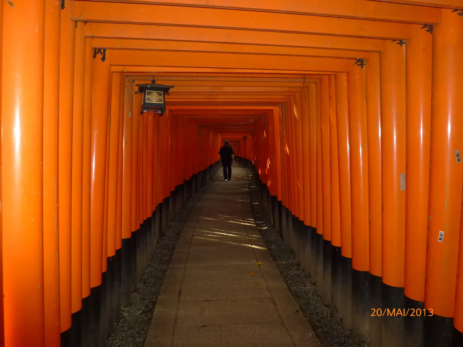 Inari